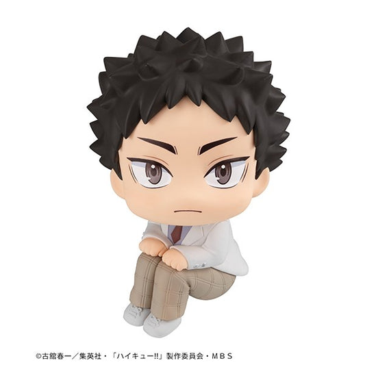 Lookup Series Haikyu!! Hajime Iwaizumi