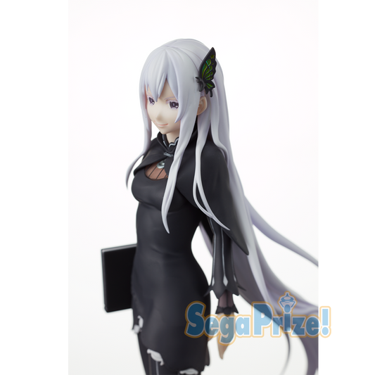 Echidna SPM Figure