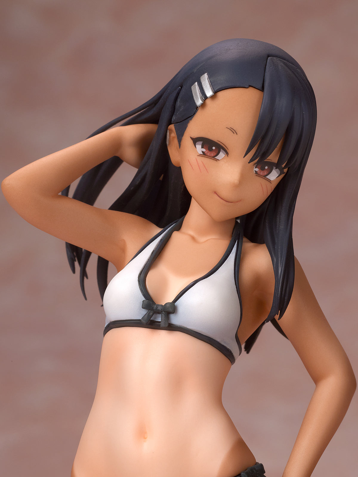 Assemble Heroines Nagatoro-san Summer Queens