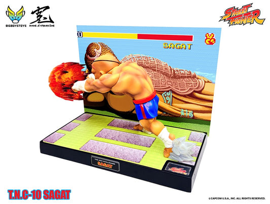 Street Fighter T.N.C-10 Sagat