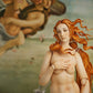 figma The Table Museum The Birth of Venus by Botticelli