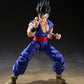 S.H. Figuarts Dragon Ball Super Gohan Super Hero