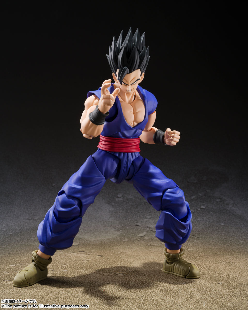S.H. Figuarts Dragon Ball Super Gohan Super Hero