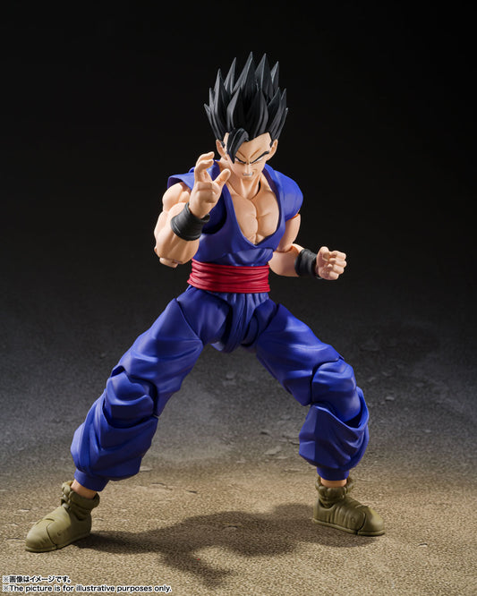 S.H. Figuarts Dragon Ball Super Gohan Super Hero