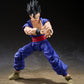 S.H. Figuarts Dragon Ball Super Gohan Super Hero