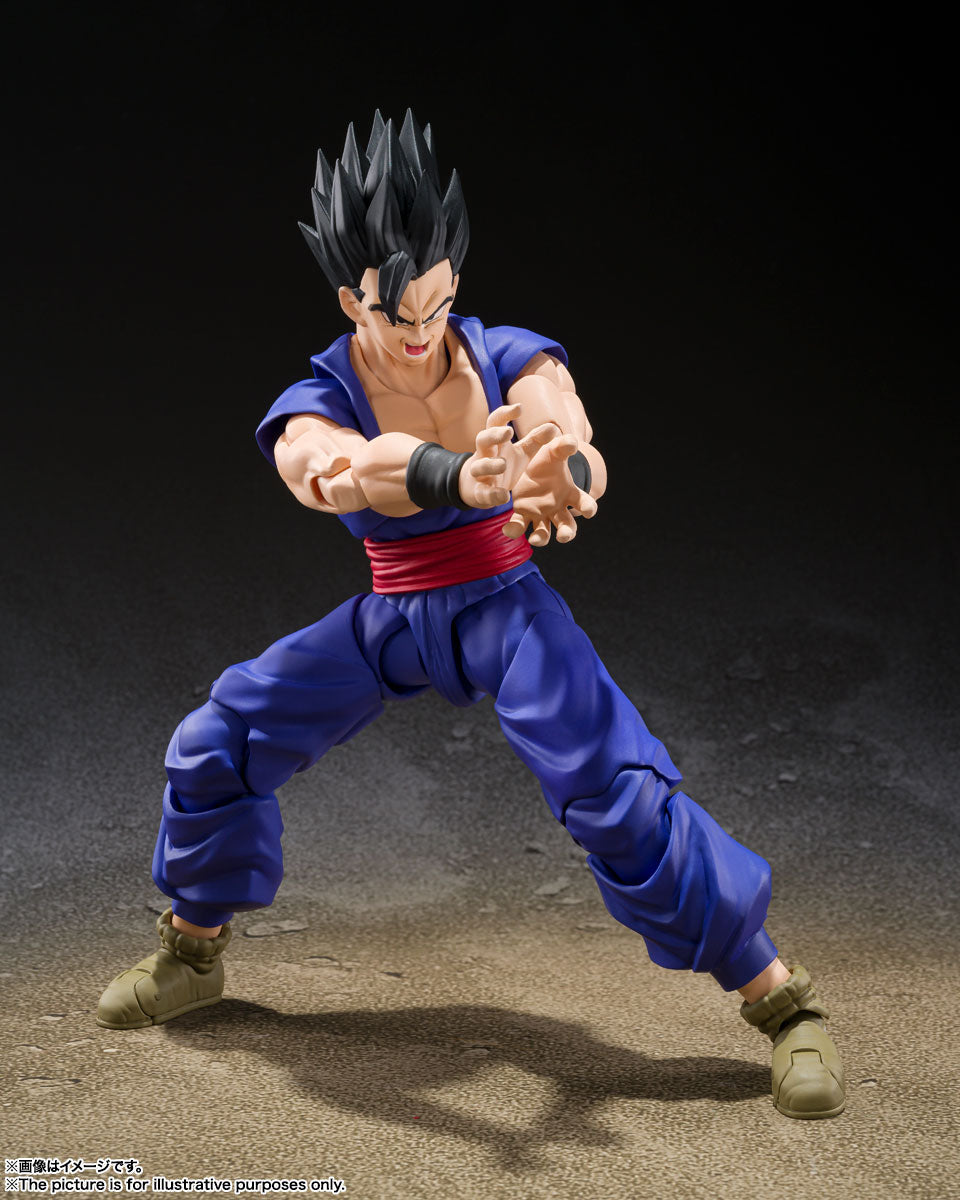 S.H. Figuarts Dragon Ball Super Gohan Super Hero