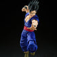 S.H. Figuarts Dragon Ball Super Gohan Super Hero