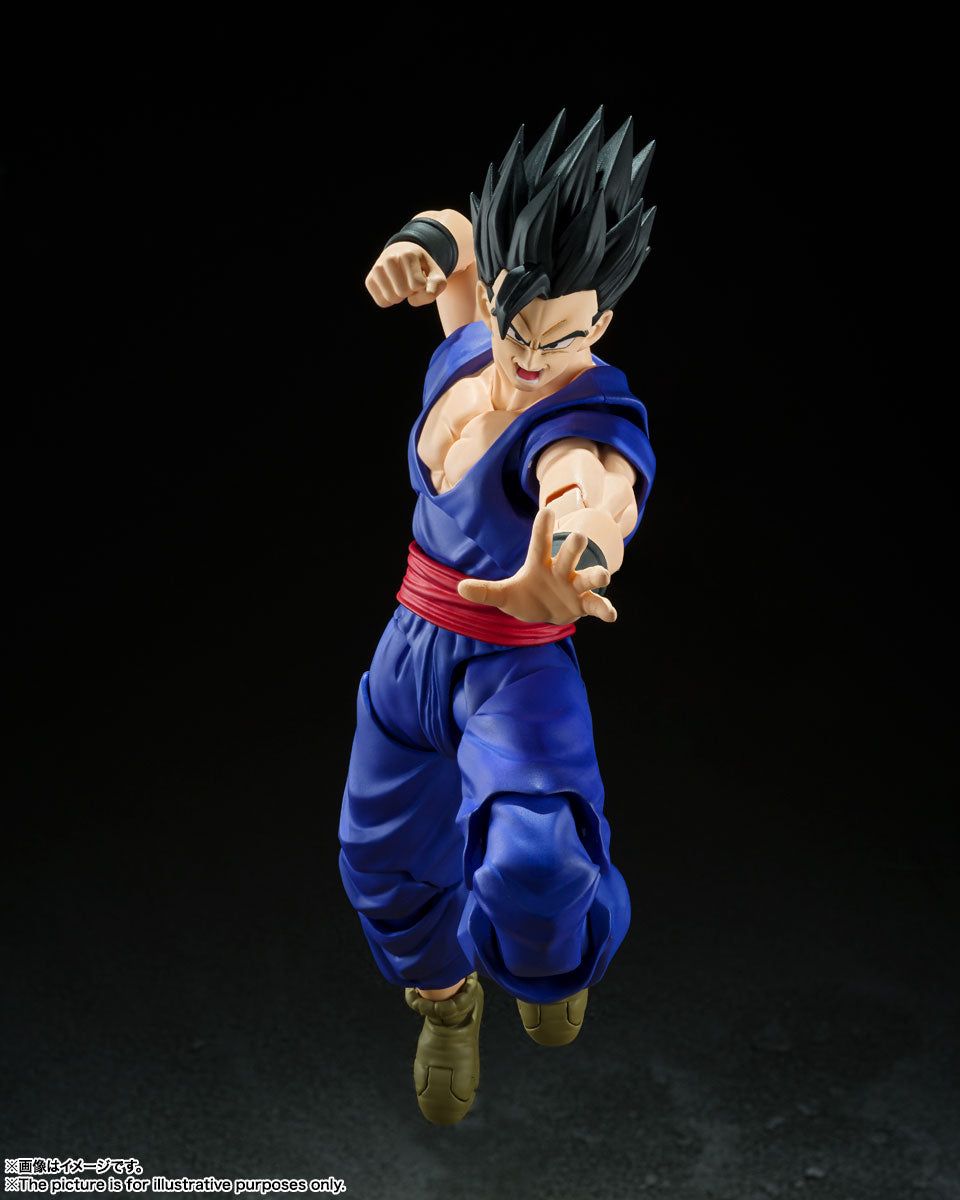 S.H. Figuarts Dragon Ball Super Gohan Super Hero