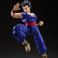 S.H. Figuarts Dragon Ball Super Gohan Super Hero