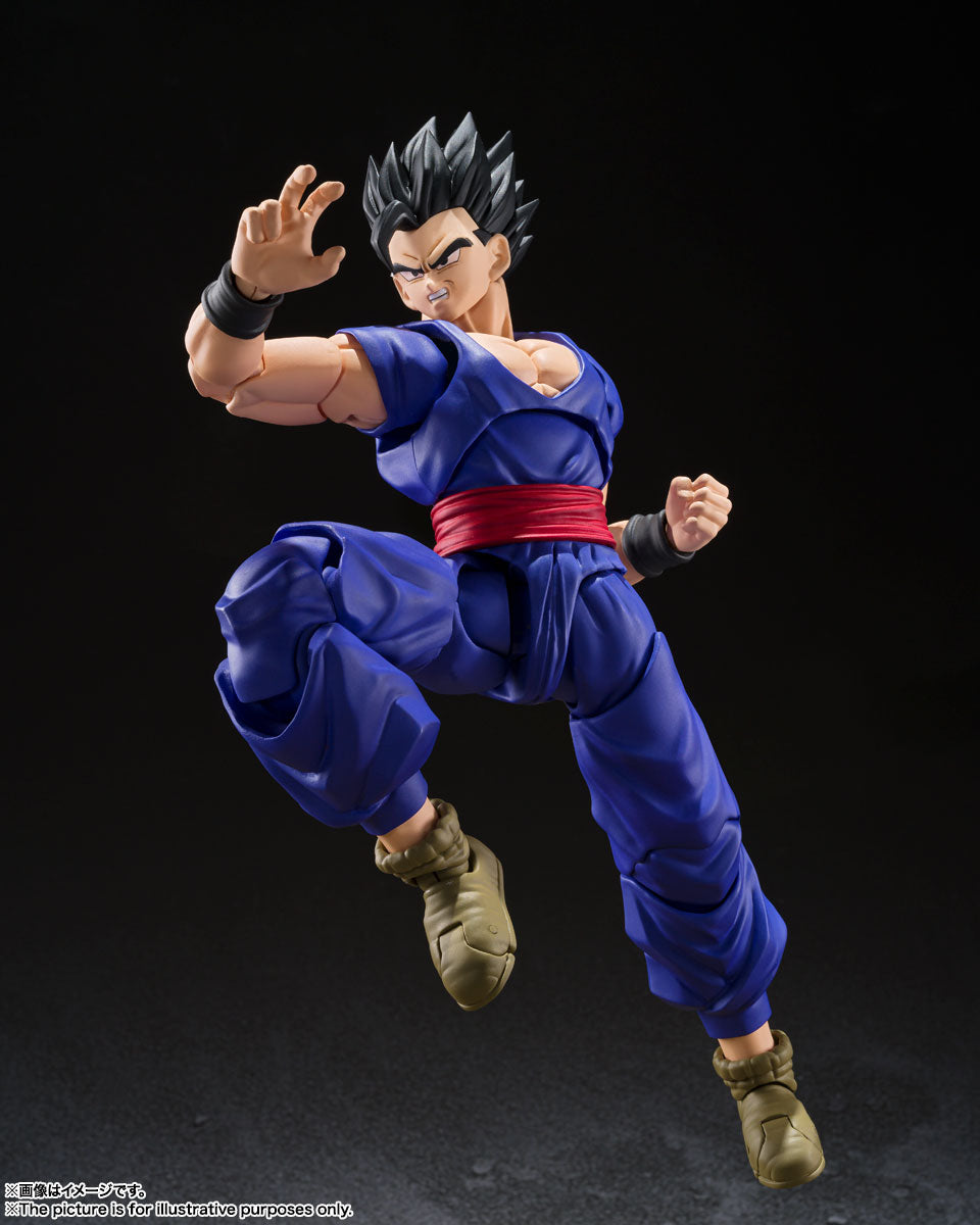 S.H. Figuarts Dragon Ball Super Gohan Super Hero