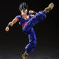 S.H. Figuarts Dragon Ball Super Gohan Super Hero