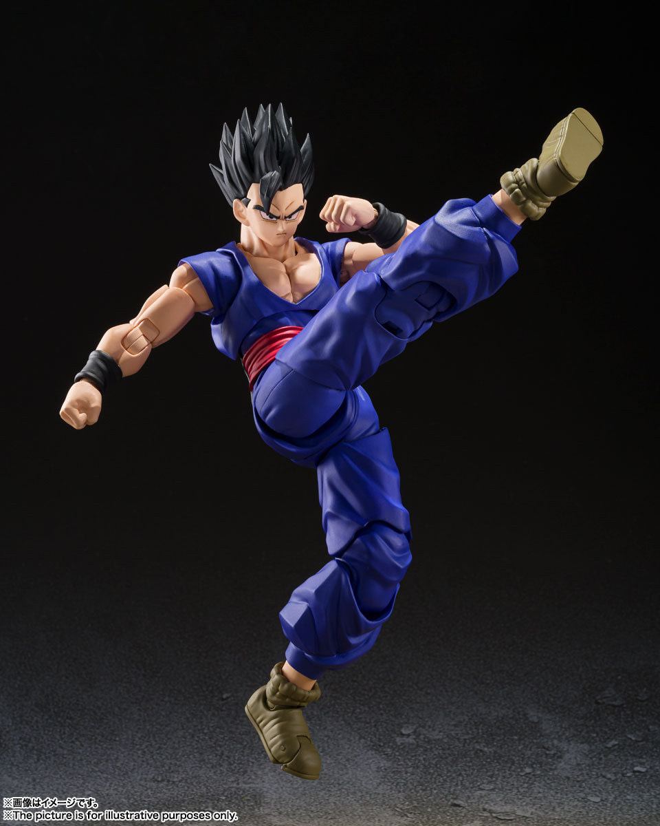 S.H. Figuarts Dragon Ball Super Gohan Super Hero