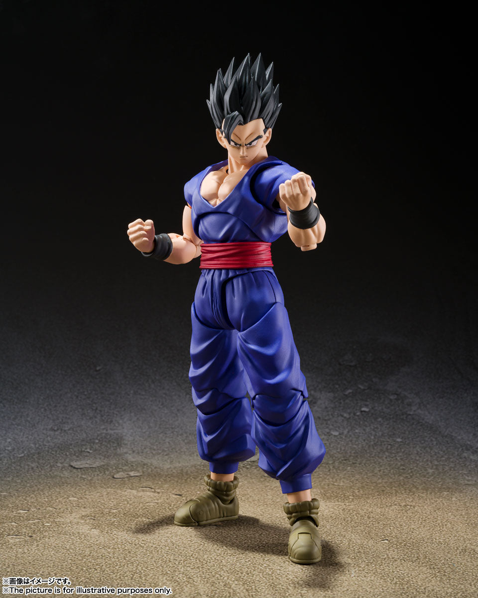 S.H. Figuarts Dragon Ball Super Gohan Super Hero