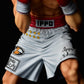 Ippo Makunouchi Fighting Pose Ver. Damage