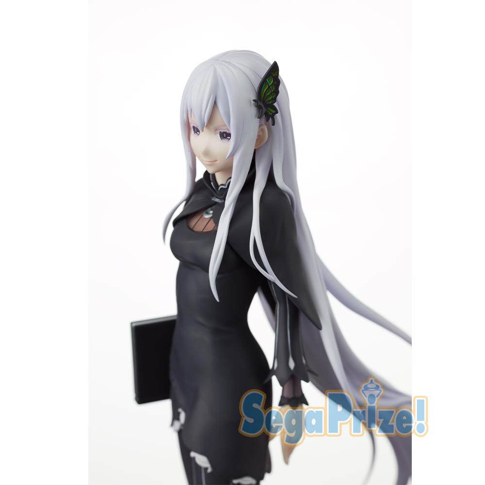 Echidna SPM Figure