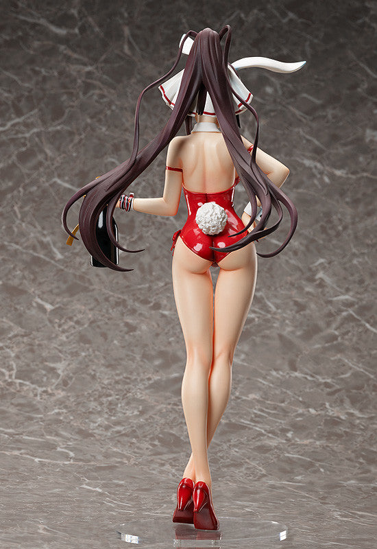 Houki Shinonono Bare Leg Bunny