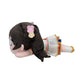 Nico Yazawa Nesoberi Plush Medium