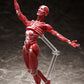 figma Human Anatomical Model