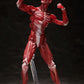 figma Human Anatomical Model